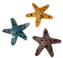 Load image into Gallery viewer, The Starfish