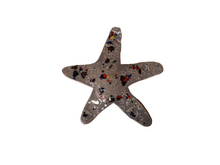 Load image into Gallery viewer, The Starfish