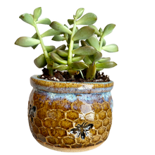 Load image into Gallery viewer, Honeycomb Succulent Planter